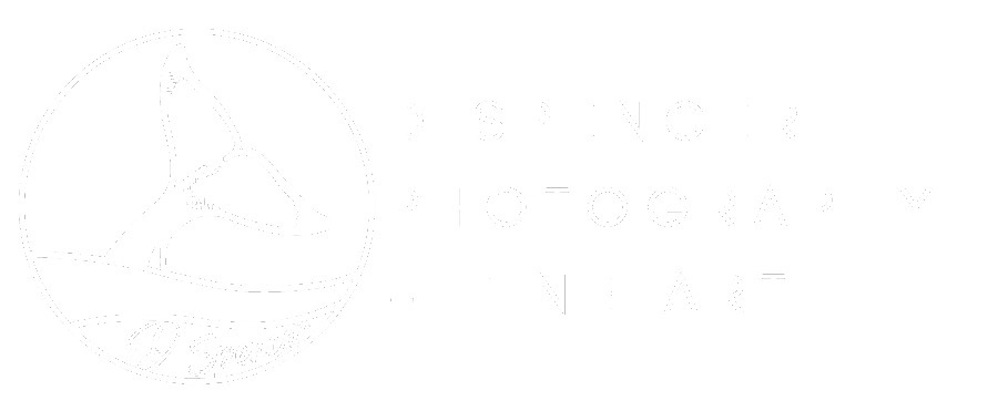 DSpencerArt