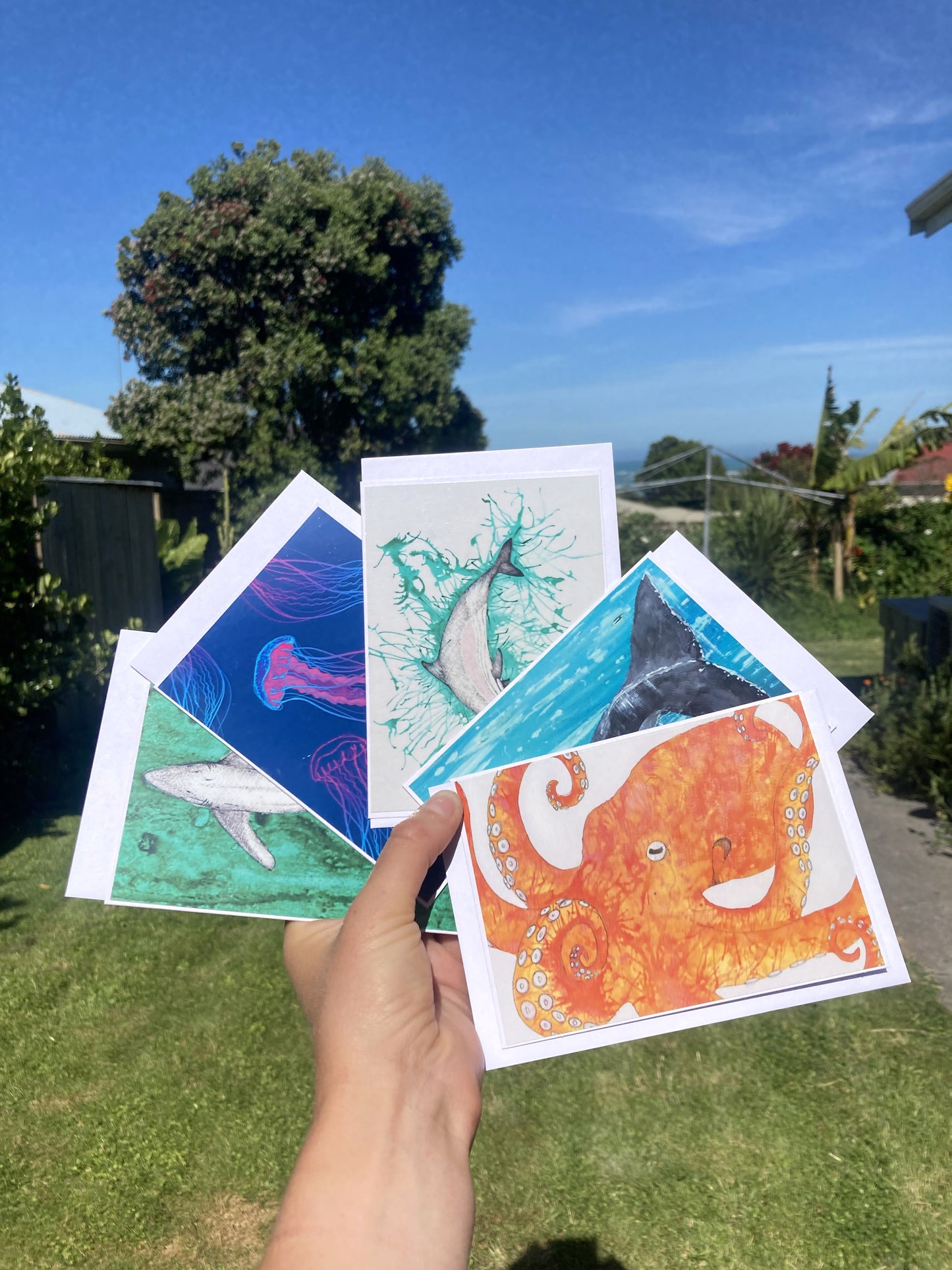 Ocean Greetings Cards 5 pack